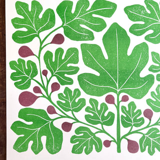 Garden Series: Fig Risograph Print