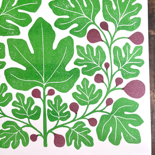 Garden Series: Fig Risograph Print