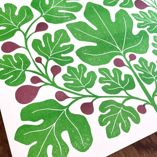 Garden Series: Fig Risograph Print