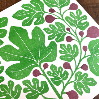 Garden Series: Fig Risograph Print
