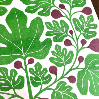 Garden Series: Fig Risograph Print