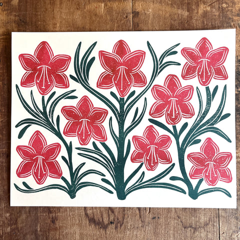 Holiday Garden Series: Amaryllis Risograph Print