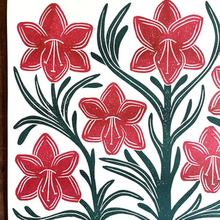 Holiday Garden Series: Amaryllis Risograph Print