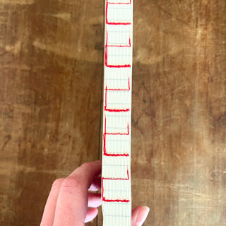 Naked Spine Journal: Foil Tomato