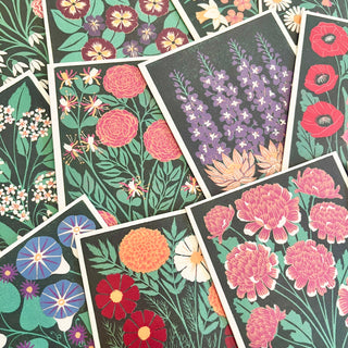 Birth Month Flowers: Complete 12 Card Boxed Set