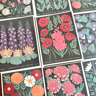 Birth Month Flowers: Complete 12 Card Boxed Set