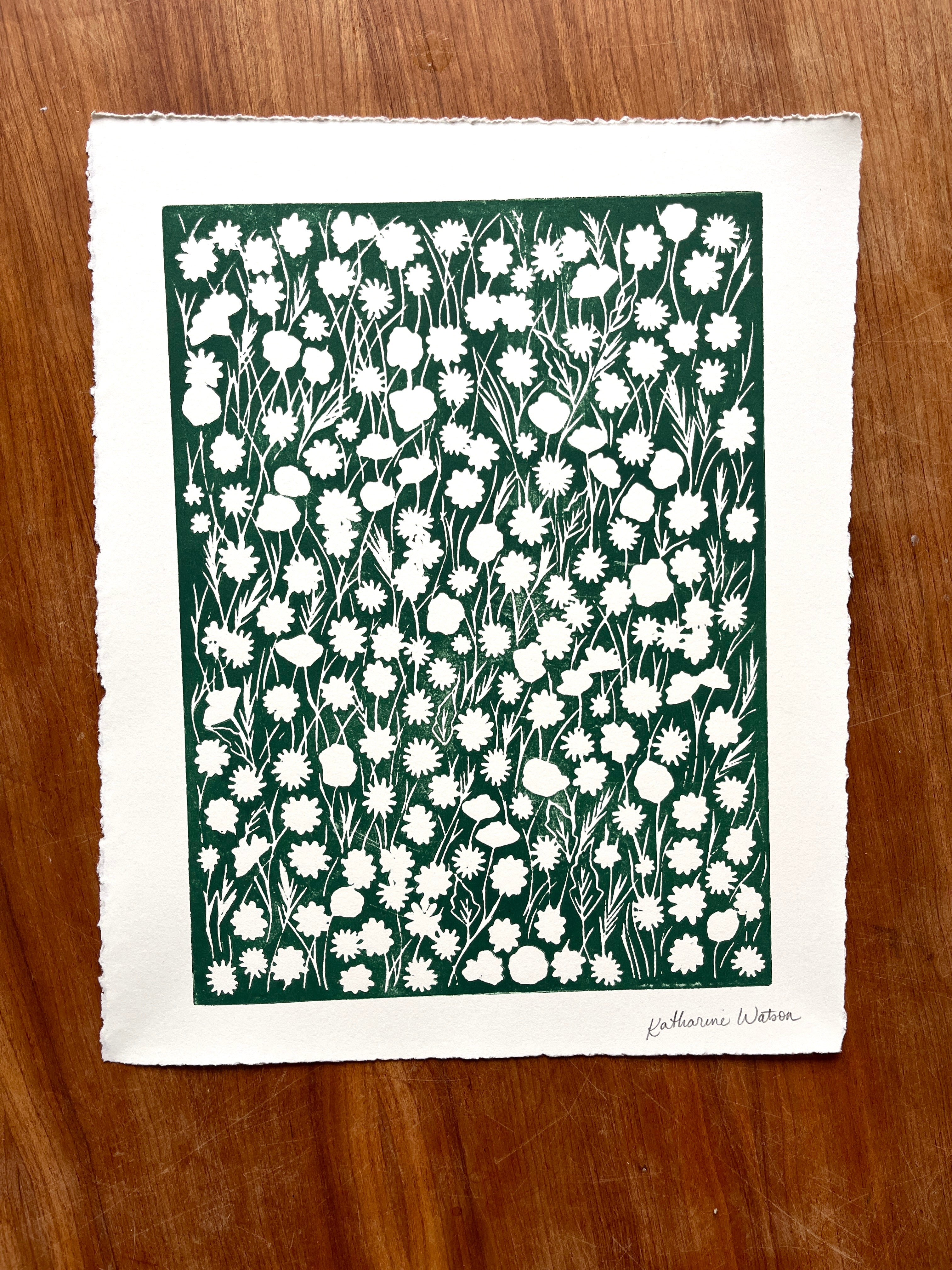 ジョン・ピトレー　『フリーダム』版画 ジョン・ピトレー 『フリーダム』版画 ジョン・ピトレー 『フリーダム