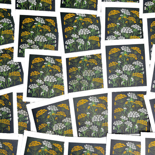 Hand Block Printed Fennel and Queen Anne's Lace Reduction Print