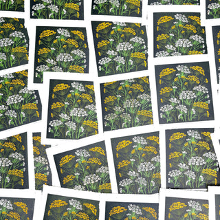 Hand Block Printed Fennel and Queen Anne's Lace Reduction Print