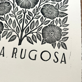 Hand Block Printed Rosa Rugosa Art Print - No. 5306