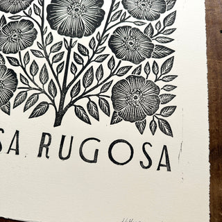 Hand Block Printed Rosa Rugosa Art Print - No. 5306