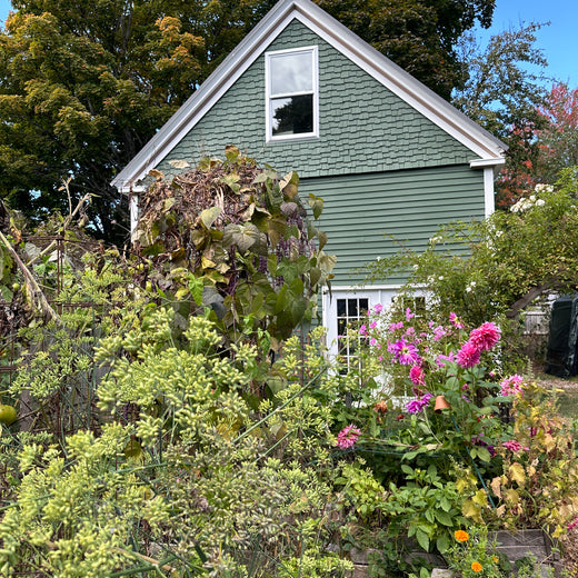 Fundamentals of Printmaking: September 12th & 13th 2026