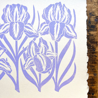 SECONDS : Hand Block Printed Iris Art Print - No. 5771