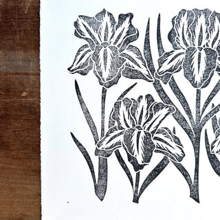 SECONDS : Hand Block Printed Iris Art Print - No. 5342