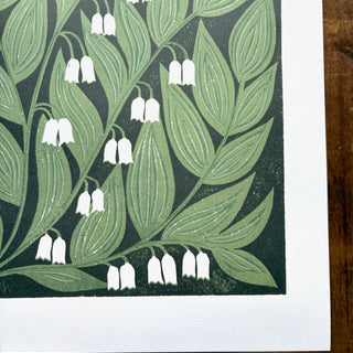 Solomon's Seal Poster - 11"x14"