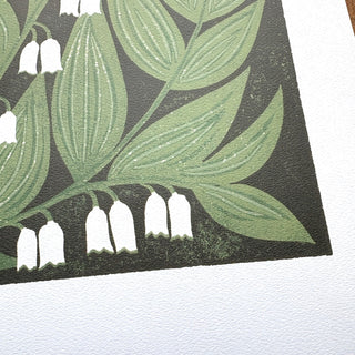 Solomon's Seal Poster - 11"x14"