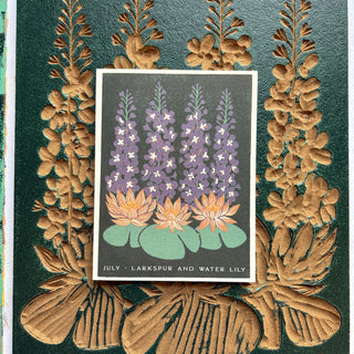 Birth Month Flowers: July Greeting Card