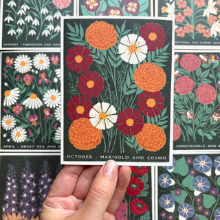 Birth Month Flowers: October Greeting Card