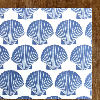 Scallop Shells Postcard