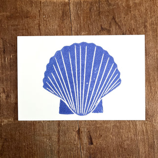 Scallop Shell Postcard