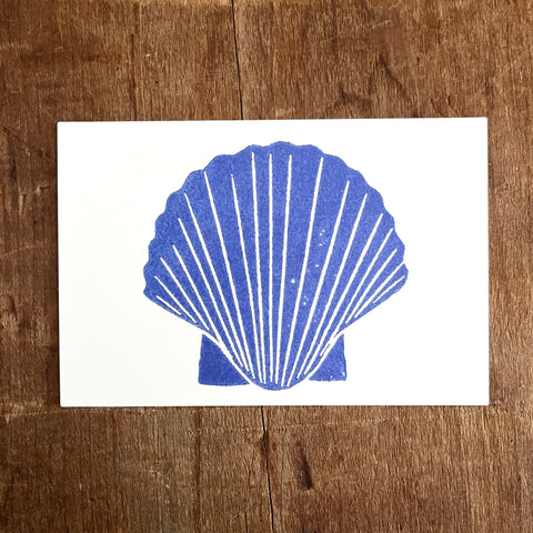 Scallop Shell Postcard