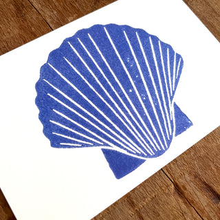 Scallop Shell Postcard