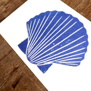 Scallop Shell Postcard