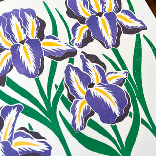 Garden Series: Iris Risograph Print
