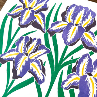Garden Series: Iris Risograph Print