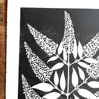Hand Block Printed Art Print, Butterfly Bush - No. 656